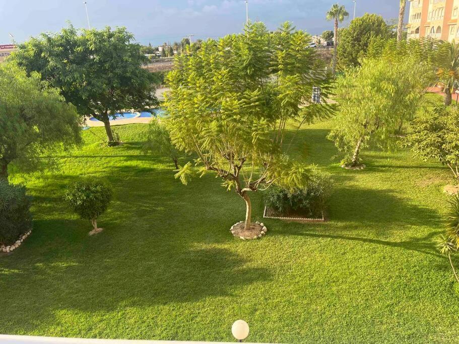 Appartamento Casa Di Mateo With Garden View And Swimming Pool Torrevieja Esterno foto