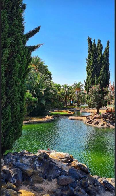Appartamento Casa Di Mateo With Garden View And Swimming Pool Torrevieja Esterno foto